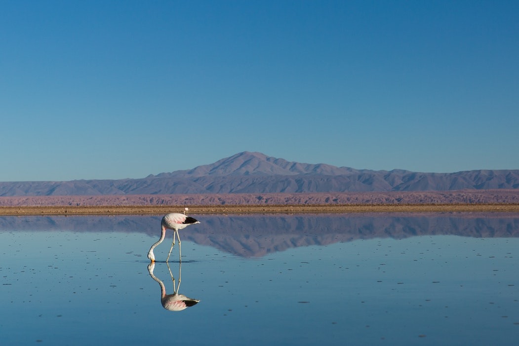 Imagen de San Pedro de Atacama